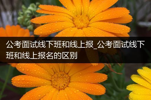 公考面试线下班和线上报_公考面试线下班和线上报名的区别
