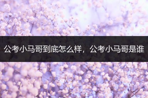公考小马哥到底怎么样，公考小马哥是谁