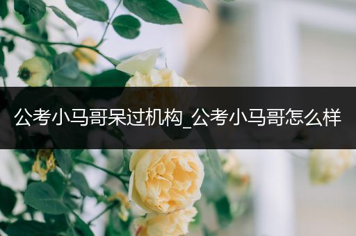公考小马哥呆过机构_公考小马哥怎么样