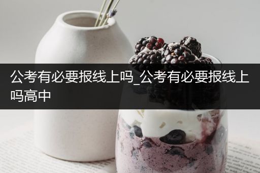 公考有必要报线上吗_公考有必要报线上吗高中