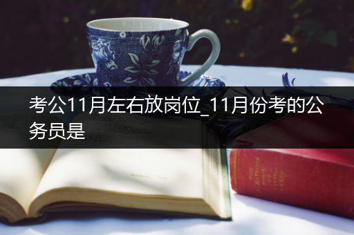 考公11月左右放岗位_11月份考的公务员是