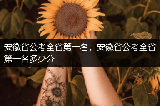 安徽省公考全省第一名，安徽省公考全省第一名多少分