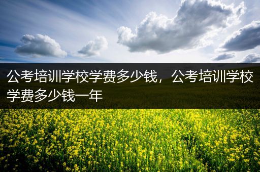 公考培训学校学费多少钱，公考培训学校学费多少钱一年