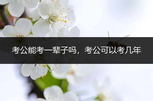 考公能考一辈子吗，考公可以考几年