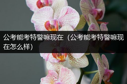公考能考特警嘛现在（公考能考特警嘛现在怎么样）