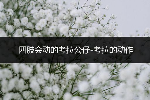四肢会动的考拉公仔-考拉的动作