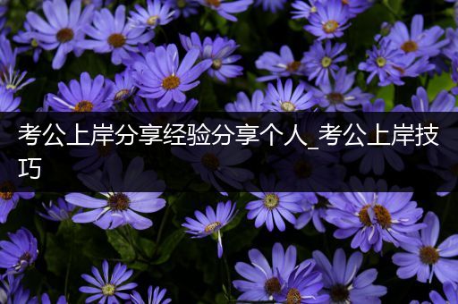 考公上岸分享经验分享个人_考公上岸技巧
