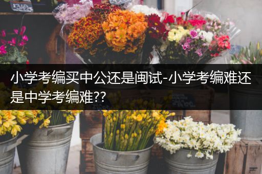 小学考编买中公还是闽试-小学考编难还是中学考编难??