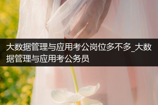 大数据管理与应用考公岗位多不多_大数据管理与应用考公务员