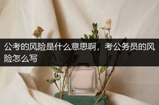 公考的风险是什么意思啊，考公务员的风险怎么写
