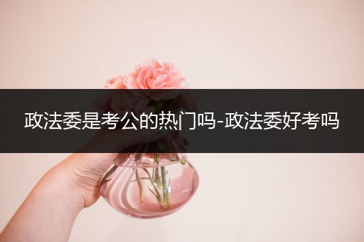 政法委是考公的热门吗-政法委好考吗