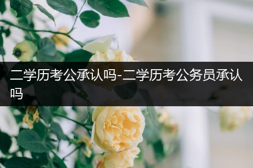二学历考公承认吗-二学历考公务员承认吗