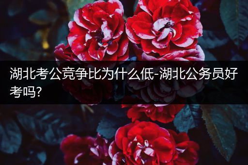 湖北考公竞争比为什么低-湖北公务员好考吗?