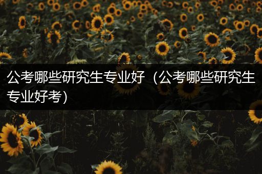 公考哪些研究生专业好（公考哪些研究生专业好考）