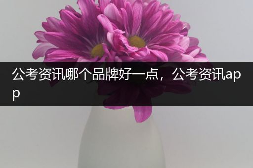 公考资讯哪个品牌好一点，公考资讯app