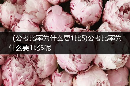 （公考比率为什么要1比5)公考比率为什么要1比5呢