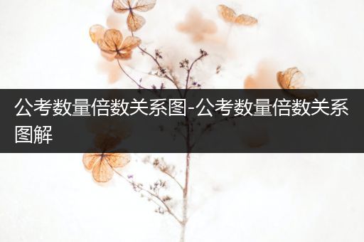 公考数量倍数关系图-公考数量倍数关系图解