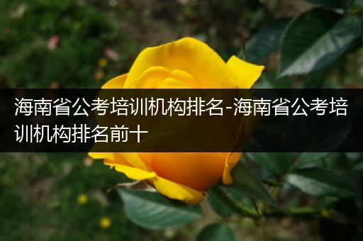 海南省公考培训机构排名-海南省公考培训机构排名前十