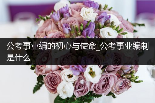 公考事业编的初心与使命_公考事业编制是什么