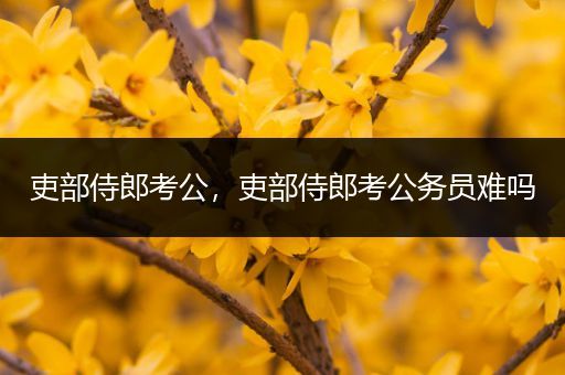 吏部侍郎考公，吏部侍郎考公务员难吗
