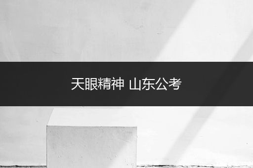 天眼精神 山东公考
