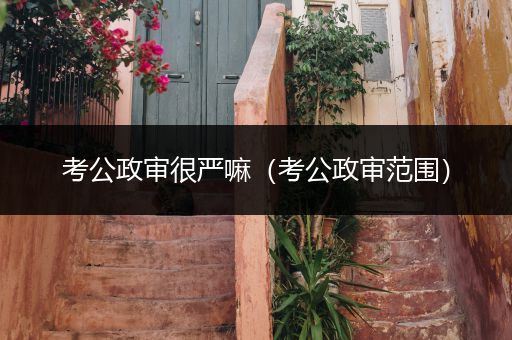 考公政审很严嘛（考公政审范围）