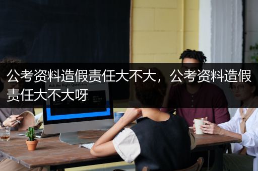 公考资料造假责任大不大，公考资料造假责任大不大呀