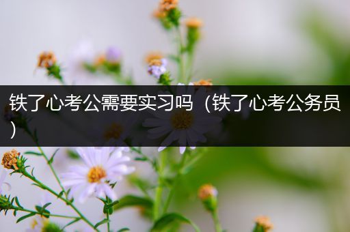 铁了心考公需要实习吗（铁了心考公务员）