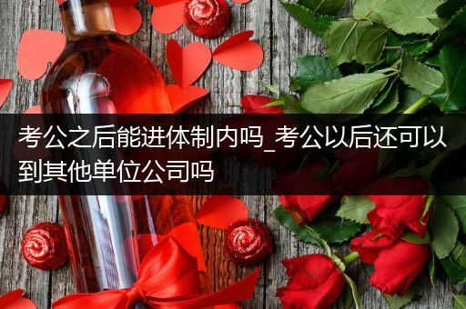 考公之后能进体制内吗_考公以后还可以到其他单位公司吗