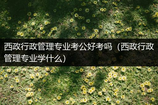 西政行政管理专业考公好考吗（西政行政管理专业学什么）
