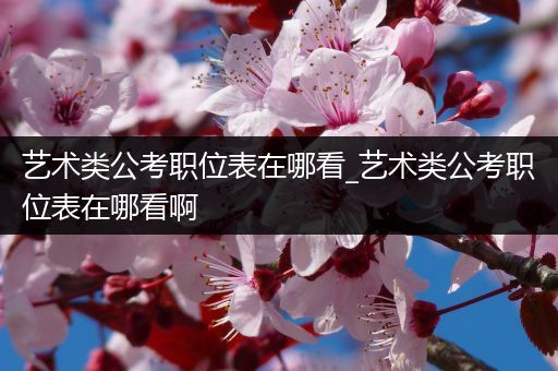 艺术类公考职位表在哪看_艺术类公考职位表在哪看啊