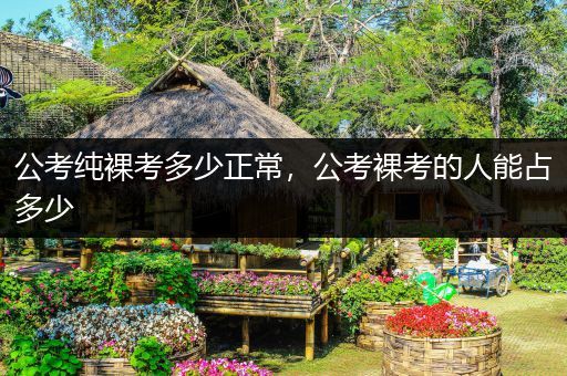 公考纯裸考多少正常，公考裸考的人能占多少