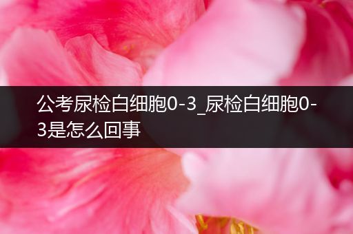 公考尿检白细胞0-3_尿检白细胞0-3是怎么回事