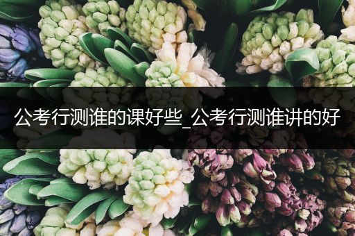 公考行测谁的课好些_公考行测谁讲的好