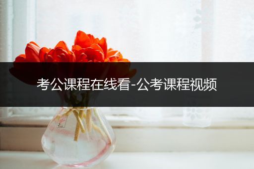 考公课程在线看-公考课程视频