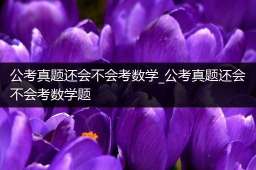 公考真题还会不会考数学_公考真题还会不会考数学题