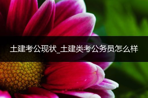 土建考公现状_土建类考公务员怎么样
