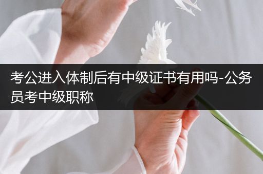 考公进入体制后有中级证书有用吗-公务员考中级职称