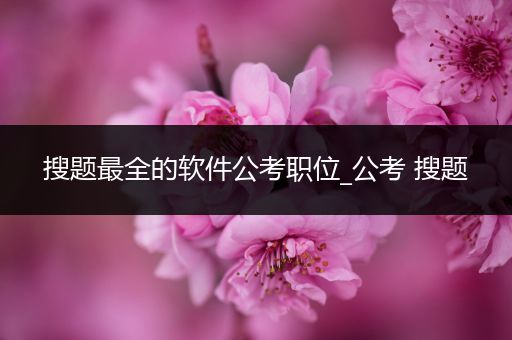 搜题最全的软件公考职位_公考 搜题