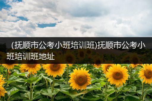 （抚顺市公考小班培训班)抚顺市公考小班培训班地址