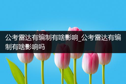 公考雷达有编制有啥影响_公考雷达有编制有啥影响吗