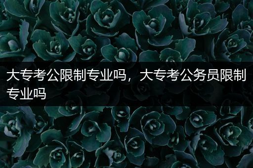 大专考公限制专业吗，大专考公务员限制专业吗