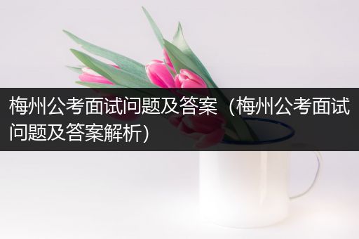 梅州公考面试问题及答案（梅州公考面试问题及答案解析）