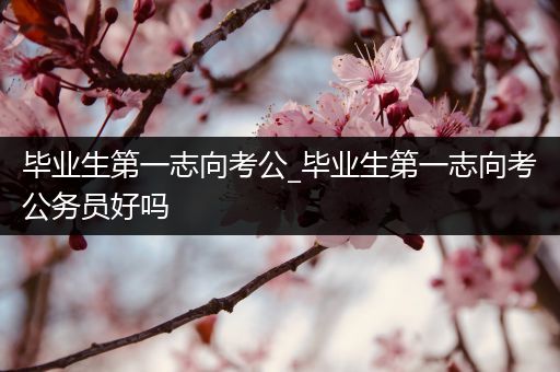 毕业生第一志向考公_毕业生第一志向考公务员好吗