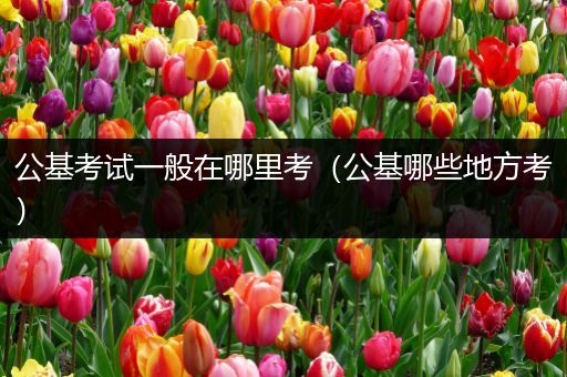 公基考试一般在哪里考（公基哪些地方考）