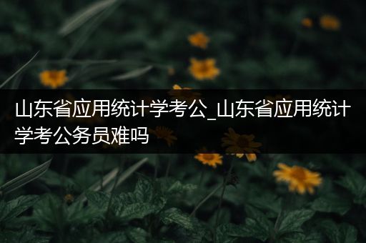 山东省应用统计学考公_山东省应用统计学考公务员难吗