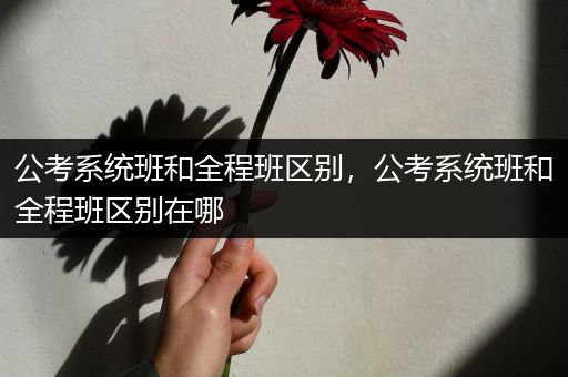 公考系统班和全程班区别，公考系统班和全程班区别在哪