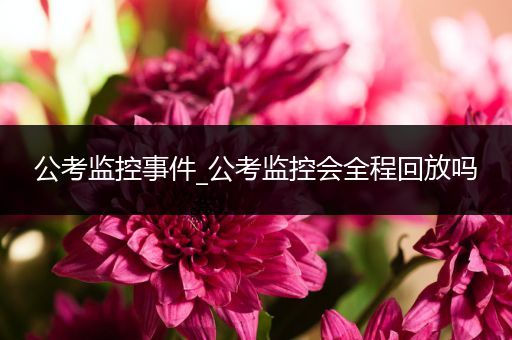 公考监控事件_公考监控会全程回放吗