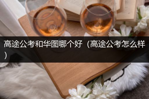 高途公考和华图哪个好（高途公考怎么样）