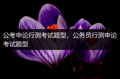 公考申论行测考试题型，公务员行测申论考试题型